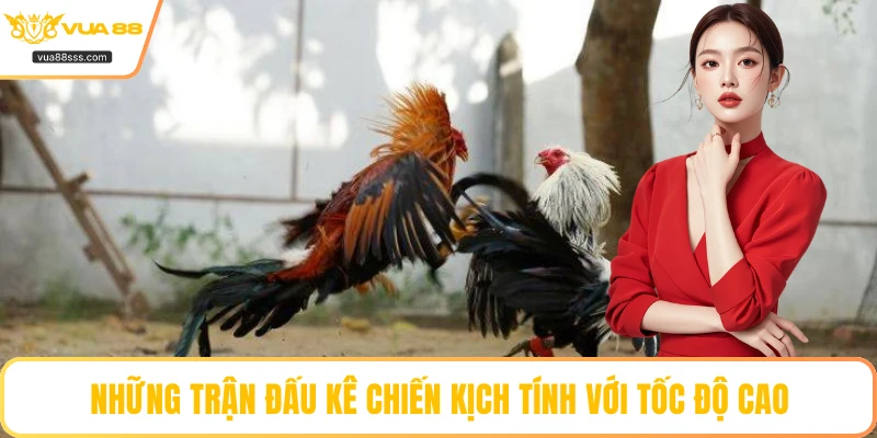 Những trận đấu kê chiến kịch tính với tốc độ cao